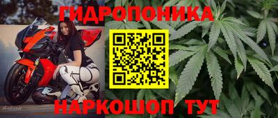марихуана Будённовск