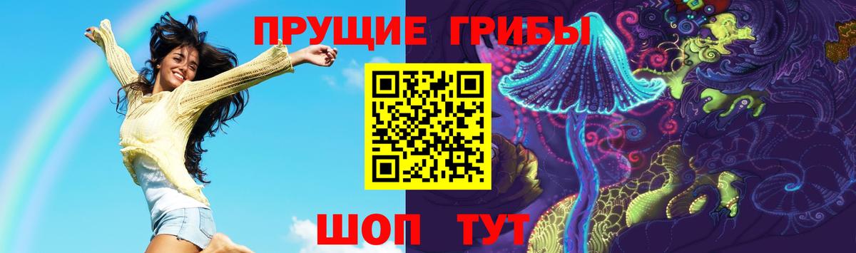Галлюциногенные грибы GOLDEN TEACHER  Вход с VPN  купить наркотики сайты  Кыштым  Псилоцибиновые грибы GOLDEN TEACHER 